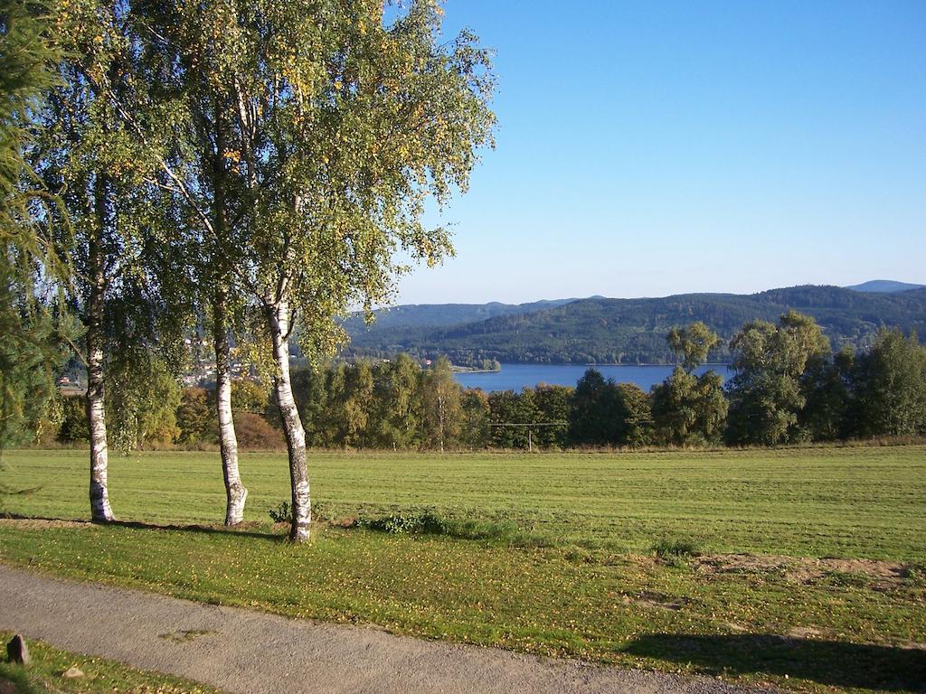 Chata Ostruzina 10+2 Lipno nad Vltavou Eksteriør billede